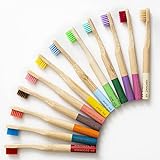Cepillos de dientes de bambú ecológicos para niños Veskan (kit de 12) Cerdas suaves 100% biodegradables. Mango de color con el mes grabado en 5 idiomas.
