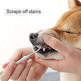 WUYANSE Perro Cepillo de Dientes de Doble Cara Mascotas Perros Gatos Tartar Remover Piedras Dentales Rascador Dientes Herramientas de Limpieza